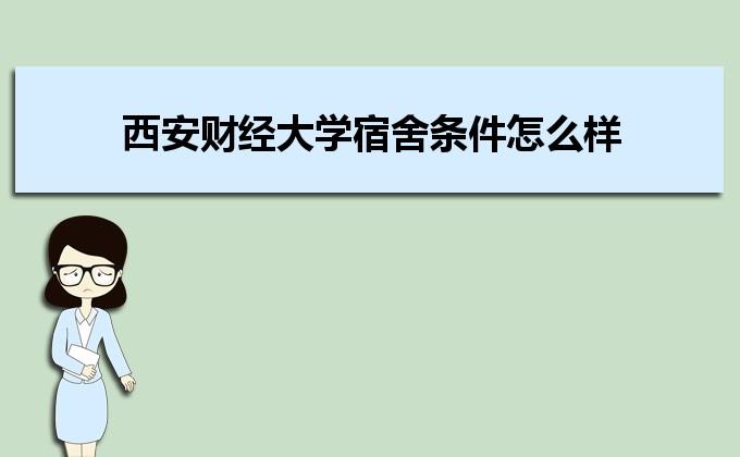 同事之间如何促进人际沟通